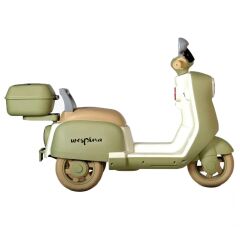 WPAK3 WESPİNA AKÜLÜ KUMANDALI MOTOR YEŞİL KUTULU