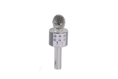 EMR-101 KUTULU KARAOKE MİKROFON