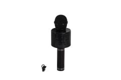 EMR-101 KUTULU KARAOKE MİKROFON