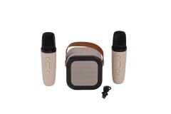 EMR-102 KUTULU 2Lİ KARAOKE MİKROFON