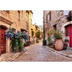 149759 Ravensburger France 1000 Parça Puzzle