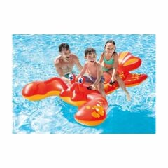 IBN57528 Istakoz Binici 213X137 cm - Vardem Oyuncak