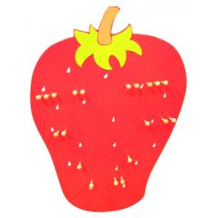 Çilek Müzik Köşesi Modeli (Aletsiz)