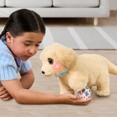 L0100000 LLP Yavru Köpek İyileşiyor - 26679