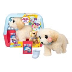 L0100000 LLP Yavru Köpek İyileşiyor - 26679