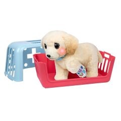 L0100000 LLP Yavru Köpek İyileşiyor - 26679