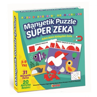 1536 DıyToy Manyetik Puzzle - Super Zeka / 31 Parça Puzzle / 3-9 yaş