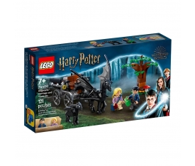 76400 Lego Harry Potter - Hogwarts Araba ve Testraller, 121 parça +7 yaş