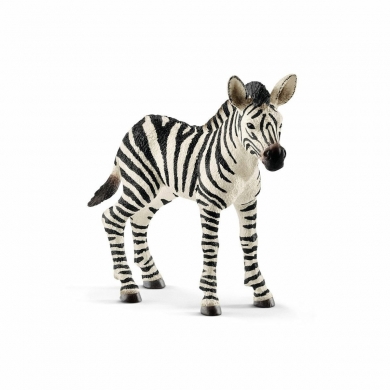 14811 Schleich - Yavru Zebra +3 yaş